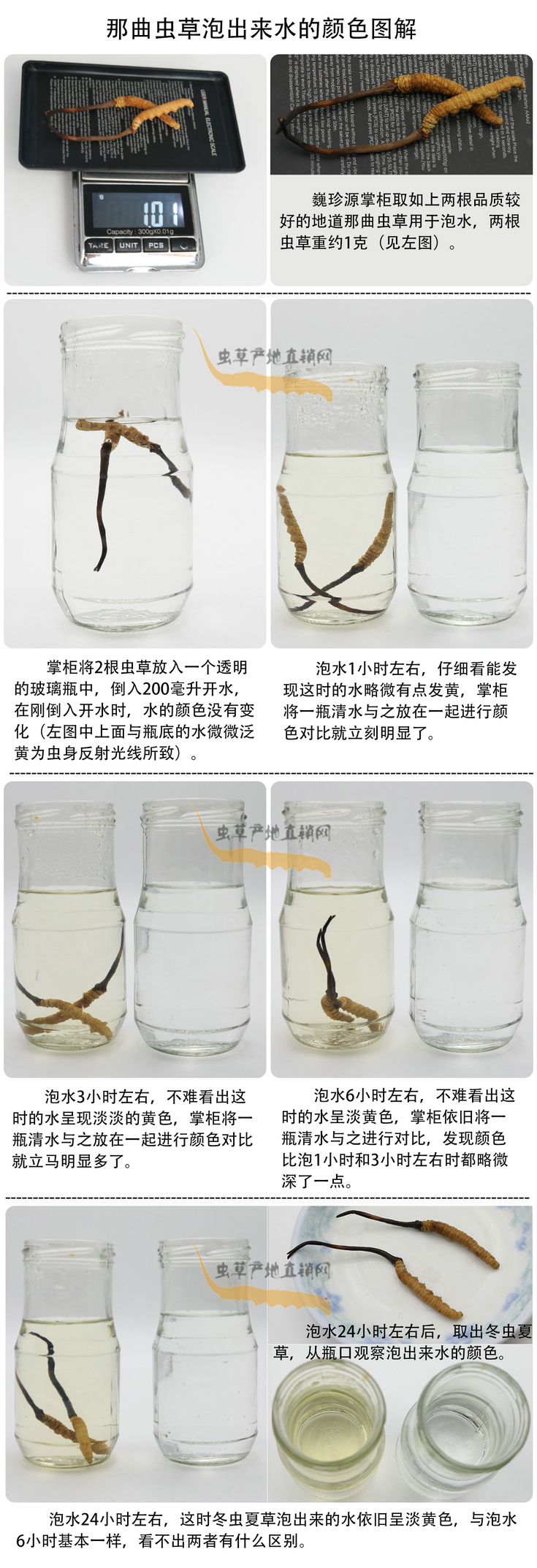 ���x�Ĳ��ݳ���ˮ���ɫ�����x�Ĳ��ݳ�����ˮ��ʲô�ɫ�����x�Ĳ���ˮ���ɫ��׃�����������x�����^ˮ��ˮ׃��ʲô�ɫ