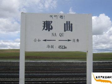 ���x�Ĳݮa(ch��n)��,�x�ݵĮa(ch��n)�������������θ߶�4513��