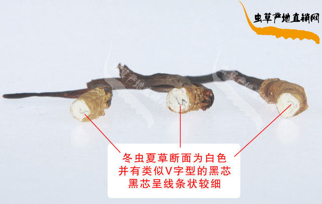 �(ji��n)�ζ��x(ch��ng)�Ĳ�����b�e����,�(ji��n)�����ٶ��x(ch��ng)�Ĳݱ�e����,�(ji��n)�ε���ٶ��x(ch��ng)�Ĳݷֱ淽��